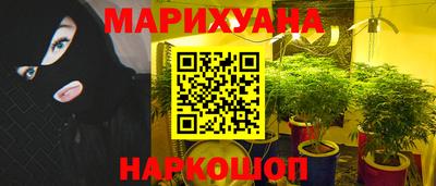 СК Сланцы